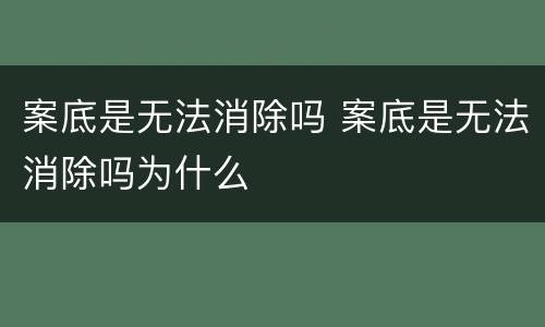 案底是无法消除吗 案底是无法消除吗为什么