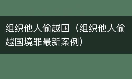 组织他人偷越国（组织他人偷越国境罪最新案例）