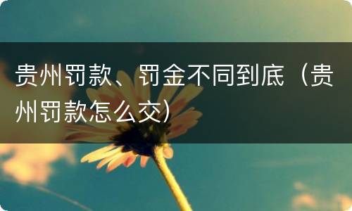 贵州罚款、罚金不同到底（贵州罚款怎么交）
