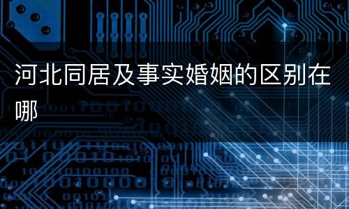 河北同居及事实婚姻的区别在哪