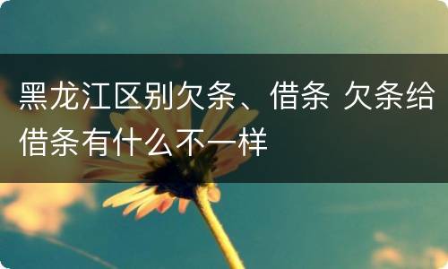 黑龙江区别欠条、借条 欠条给借条有什么不一样