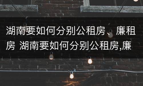 湖南要如何分别公租房、廉租房 湖南要如何分别公租房,廉租房和商品房