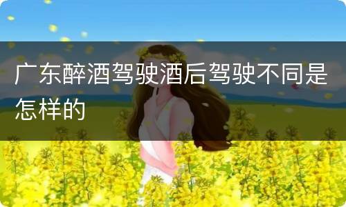 广东醉酒驾驶酒后驾驶不同是怎样的