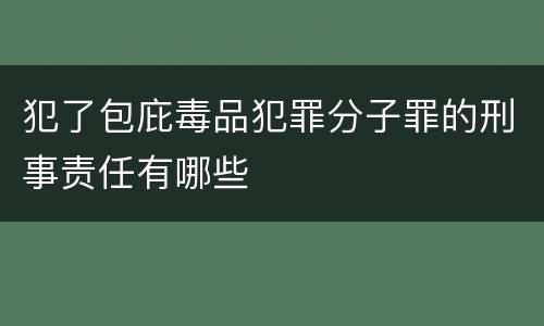 犯了包庇毒品犯罪分子罪的刑事责任有哪些