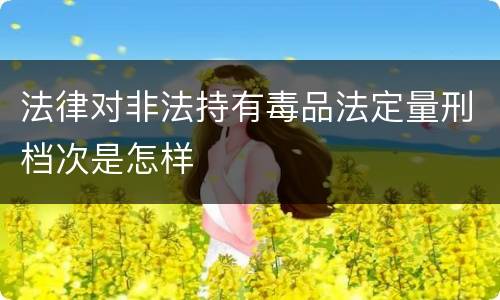 法律对非法持有毒品法定量刑档次是怎样