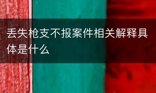 丢失枪支不报案件相关解释具体是什么