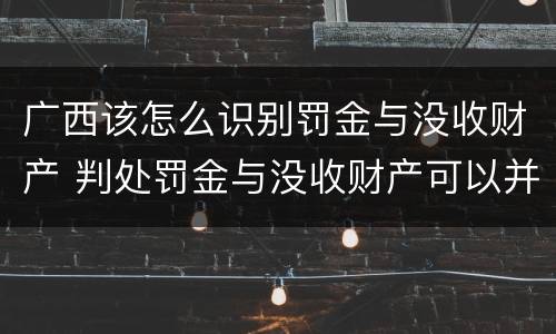 广西该怎么识别罚金与没收财产 判处罚金与没收财产可以并罚吗