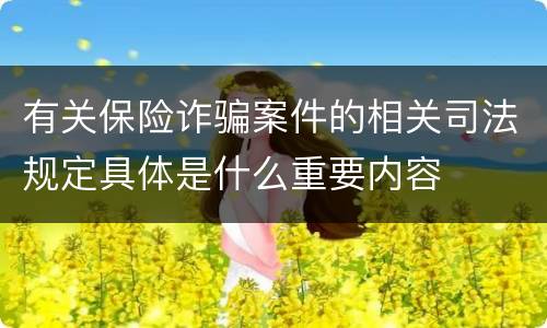 有关保险诈骗案件的相关司法规定具体是什么重要内容