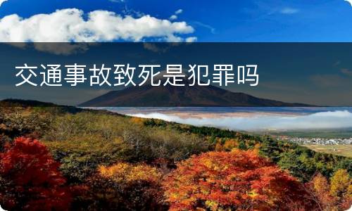 交通事故致死是犯罪吗