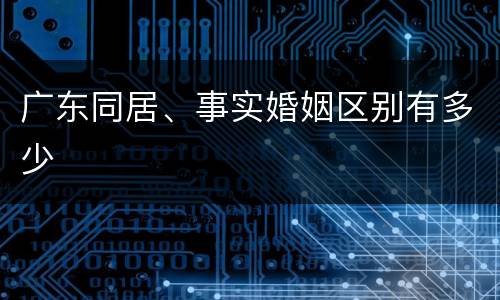 广东同居、事实婚姻区别有多少