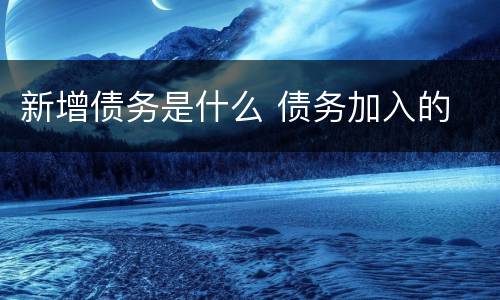 新增债务是什么 债务加入的
