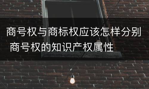商号权与商标权应该怎样分别 商号权的知识产权属性
