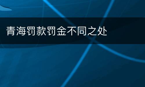 青海罚款罚金不同之处