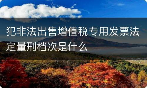 犯非法出售增值税专用发票法定量刑档次是什么