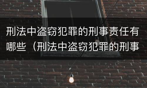 刑法中盗窃犯罪的刑事责任有哪些（刑法中盗窃犯罪的刑事责任有哪些规定）