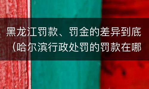 黑龙江罚款、罚金的差异到底（哈尔滨行政处罚的罚款在哪交）