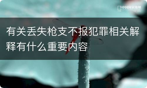 有关丢失枪支不报犯罪相关解释有什么重要内容