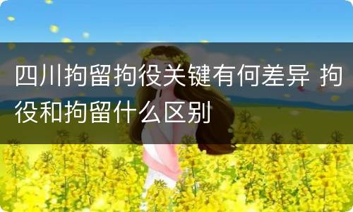 四川拘留拘役关键有何差异 拘役和拘留什么区别