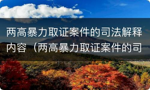 两高暴力取证案件的司法解释内容（两高暴力取证案件的司法解释内容是）