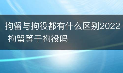 拘留与拘役都有什么区别2022 拘留等于拘役吗