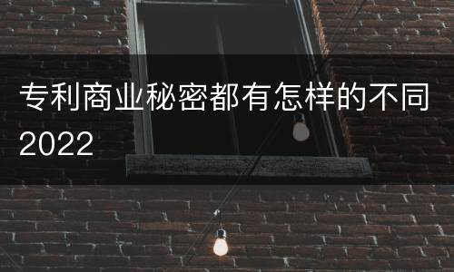 专利商业秘密都有怎样的不同2022