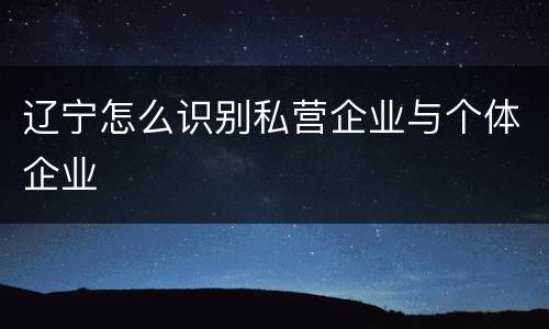 辽宁怎么识别私营企业与个体企业