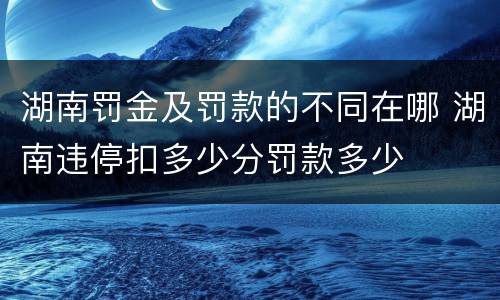 湖南罚金及罚款的不同在哪 湖南违停扣多少分罚款多少