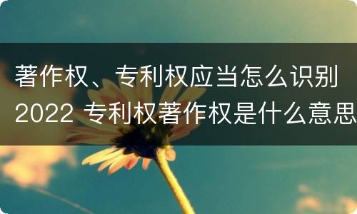 著作权、专利权应当怎么识别2022 专利权著作权是什么意思