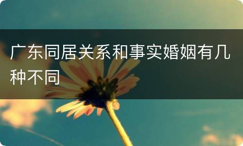 广东同居关系和事实婚姻有几种不同