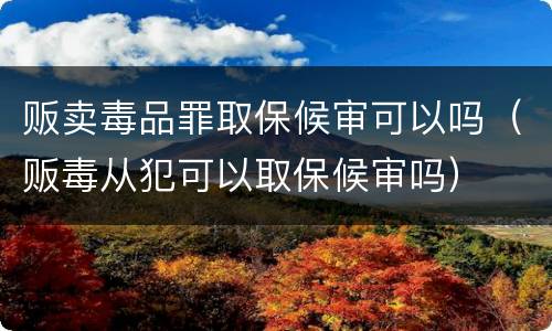 贩卖毒品罪取保候审可以吗（贩毒从犯可以取保候审吗）
