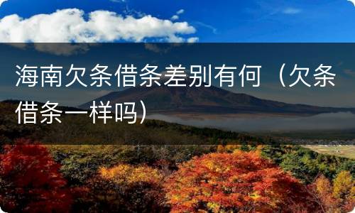 海南欠条借条差别有何（欠条借条一样吗）