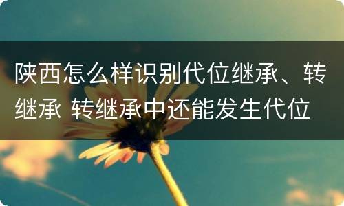 陕西怎么样识别代位继承、转继承 转继承中还能发生代位