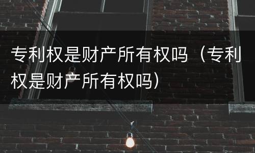 专利权是财产所有权吗（专利权是财产所有权吗）