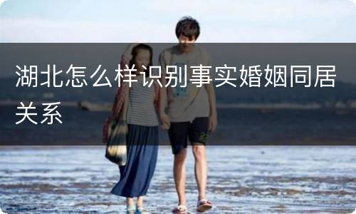 湖北怎么样识别事实婚姻同居关系