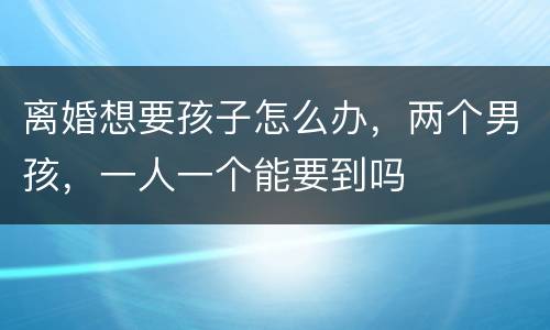 离婚想要孩子怎么办，两个男孩，一人一个能要到吗