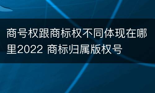 商号权跟商标权不同体现在哪里2022 商标归属版权号