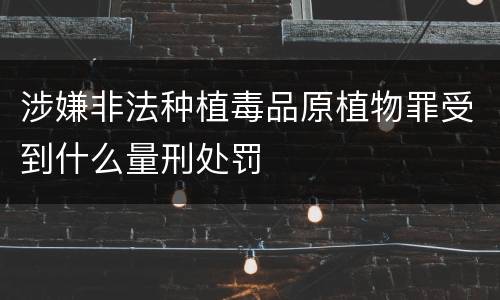 涉嫌非法种植毒品原植物罪受到什么量刑处罚