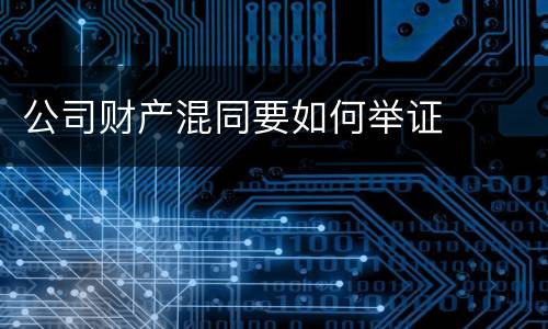 公司财产混同要如何举证