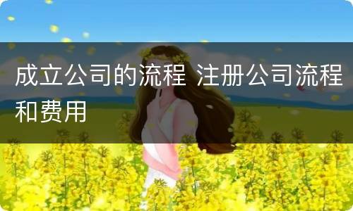 成立公司的流程 注册公司流程和费用