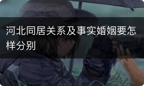 河北同居关系及事实婚姻要怎样分别