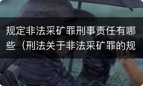 规定非法采矿罪刑事责任有哪些（刑法关于非法采矿罪的规定）