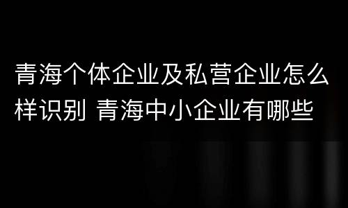 青海个体企业及私营企业怎么样识别 青海中小企业有哪些