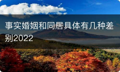 事实婚姻和同居具体有几种差别2022