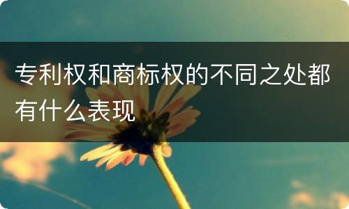 专利权和商标权的不同之处都有什么表现