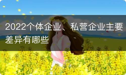 2022个体企业、私营企业主要差异有哪些