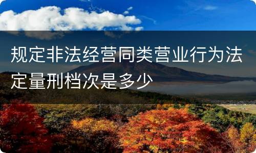 规定非法经营同类营业行为法定量刑档次是多少