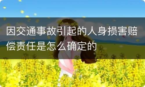 因交通事故引起的人身损害赔偿责任是怎么确定的