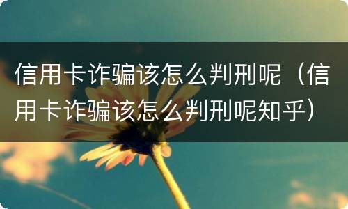 信用卡诈骗该怎么判刑呢（信用卡诈骗该怎么判刑呢知乎）