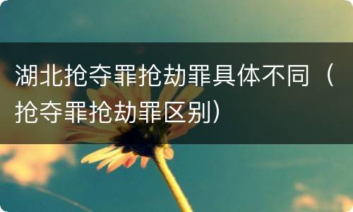 湖北抢夺罪抢劫罪具体不同（抢夺罪抢劫罪区别）