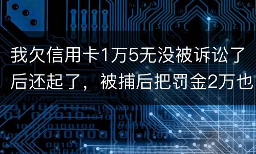 我欠信用卡1万5无没被诉讼了后还起了，被捕后把罚金2万也给了，什么时候放人呀